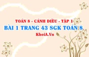 Bài 1 trang 42 SGK Toán 8 tập 1 Cánh Diều